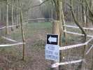 100-slalom-cigne.jpg