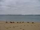 IMG_1123.JPG